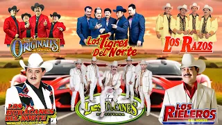 Los Tucanes De Tijuana, Los Tigres del Norte, Los Huracanes del Norte, Los Dos Carnales, Ramon Ayala