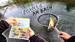 Ich fange einen Traumfisch 😍 | Bachforellen Angeln am Bach