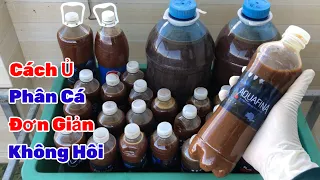 Cách Ủ Phân Cá Đơn Giản ,Không Hôi