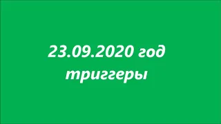 постановка игл по триггерным точкам