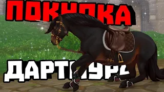 ПОКУПКА ДАРТМУРСКОГО ПОНИ | САМЫЙ МИЛЫЙ ПОНИ В Star Stable