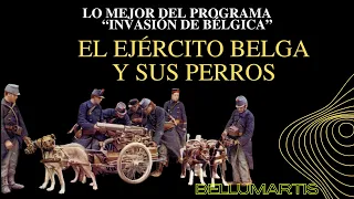 El ejército belga en la Primera Guerra Mundial y sus carros de perros. "Lo mejor de programa"