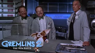 Gremlins 2: Guizmo Bailando