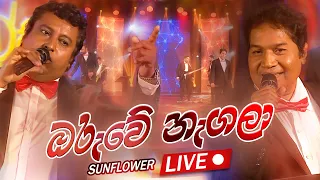 ඔරුවේ නැගලා | Sunflowers LIVE | FM Derana 12th Anniversary Show