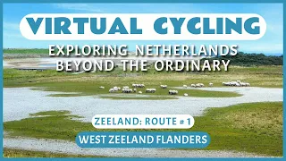 Virtual Cycling | Exploring Netherlands Beyond the Ordinary | Zeeland Route # 1