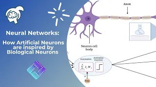 Neural Networks: How Artificial Neurons are inspired by Biological Neurons 🔎 🧠 🦾 🧬