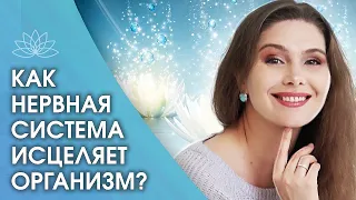 Как исцелять организм? Как нервная система может исцелять организм? Место жизненной силы человека