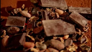 5 фактов о шоколаде