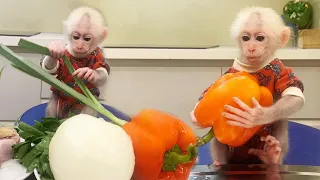 What did Bibi monkey cook today? Bell pepper - Onion - Veal