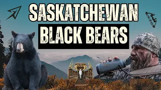 Saskatchewan Black Bears