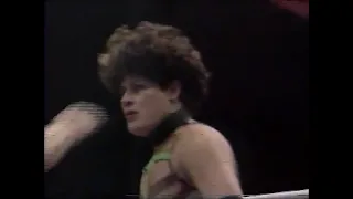 Bali/Sugryva/Tornado vs Pimpinela Escarlata/Ravana/Arsénico (AAA February 5th, 1995)