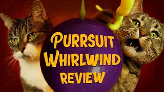 The Cats Review: PURRSUIT WHIRLWIND | A spinning Cat Toy Ball!