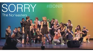 Sorry (opb. Justin Bieber) - The Nor'easters