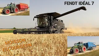 MOISSON ESCOURGEON 2022 : 100% FENDT( IDEAL 7/FENDT ONE).