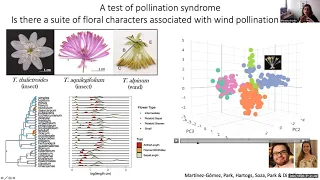 Polyploidy Webinar 26 October 2020