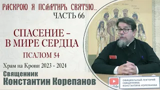 Часть 66 цикла бесед иерея Константина Корепанова "Раскрою я Псалтырь святую..."   (29.01.2024)