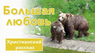 Большая  любовь