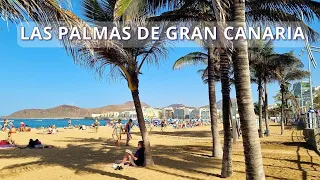 Las Palmas | Playa de Las Canteras | Gran Canaria