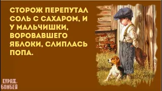 Анекдот в картинках #399 от КУРАЖ БОМБЕЙ: а-ля секси фрау, встречали по одёжке и остеохондроз