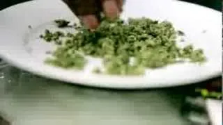Snoop Dogg presents his best Weed