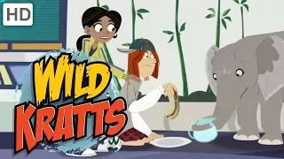 Wild Kratts - Protecting the Wildlife Around the World