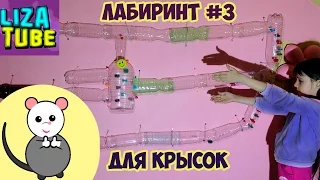 Лабиринт #3 для крысок 🐀🐁 со СКАЛОДРОМОМ ⛳ Из бутылок СВОИМИ РУКАМИ ✌️ DIY for pets 🌸 LizaTube