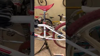 Original 1983 Skyway T/A Old School BMX Bike