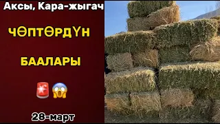 ЧӨП БААЛАРЫ | СРОЧНО КОРУНУЗ🚨😱 | АКСЫ,КАРА-ЖЫГАЧ | 28-март