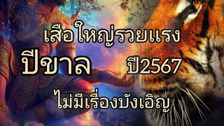 ดูดวงปีขาล เสือใหญ่รวยเเรง ไม่มีเรื่องบังเอิญ ปี2567