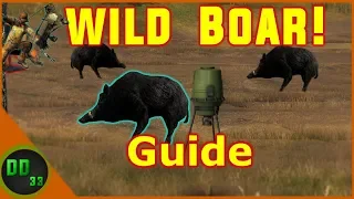 How To HUNT WILD BOAR TheHunter Classic!!
