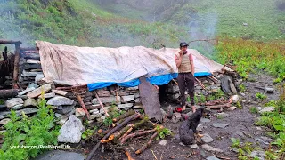 Himalayan Village Life | Tough Life of Nepali Shepherd | Shifting Domestic Animal to Another Place |