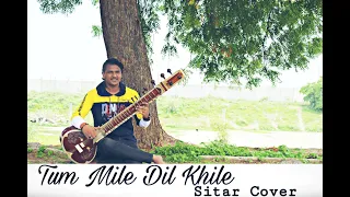Tum Mile Dil Khile | Instrumental Sitar Cover | Criminal | Kumar sanu | Alka Yagnik ( Aaghaz )