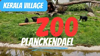 Zoo Planckendael 2024 | Belgium | Kerala village | Best place for kids #faisyandalex #zoo