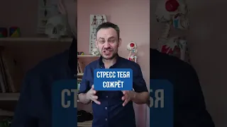 Стресс уничтожит тебя! Как быстро успокоиться? #shorts