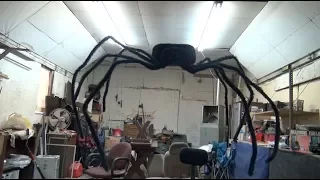 GIGANTIC SPIDER ATTACK CAUGHT ON VIDEO