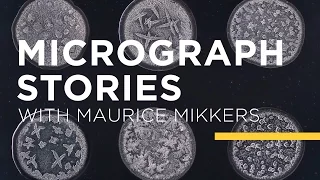 Maurice Mikkers - Micrograph Stories