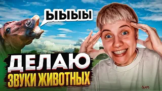 КАК ЗВУЧИТ БИТБОКС КОНЯ?! и не только...