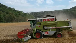 Dreschen, Ballen pressen, Ballentransport Claas Arion, Krone Vario Pack, Claas Dominator 118 SL💪