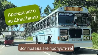 Аренда автомобиля на Шри Ланке. Полезная информация