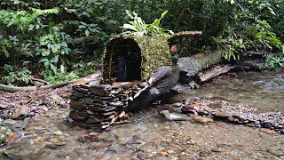 Solo Bushcraft: Build a shelter on a dry tree trunk by a stream. survive in the rain forest.