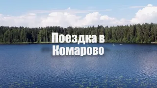 На недельку до второго... Небольшая прогулка Комарово