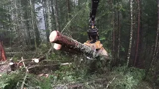 Tethering the last corner above the creek buffer