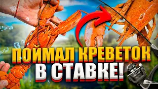 ПОЙМАЛ КРЕВЕТОК В СТАВКЕ варим очень вкусно