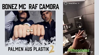 PALMEN AUS PLASTIK 2 - HÖRPROBE - "500 PS"