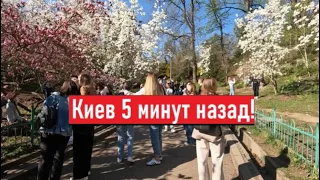 Киев сегодня! Толпы людей в парке! Что происходит?