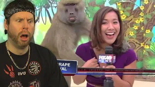 PUT HER DOWN MONKEY! Best Animals News Bloopers