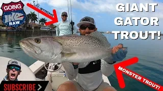 CATCHING GATOR TROUT with SALT STRONG!