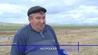 Фермеры Мухоршибирского района Бурятии не могут собрать урожай