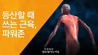 등산할 때 쓰는 근육, 파워존 - (2011.7.16_379회 방송)_내 몸을 살리는 똑똑한 등산