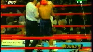Профессиональный бокс : Roy Jones Jr - Merqui Sosa / ( Гендлин В.И.)
